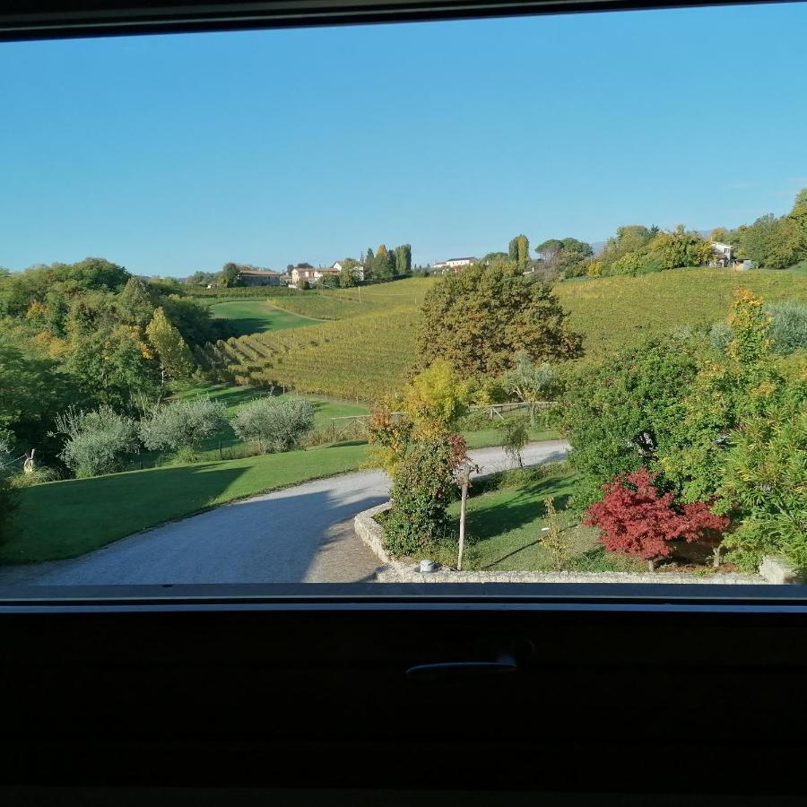 Locazione Turistica La Casetta Conegliano Zewnętrze zdjęcie