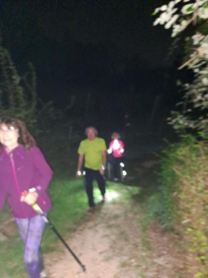 Locazione Turistica La Casetta Conegliano Zewnętrze zdjęcie